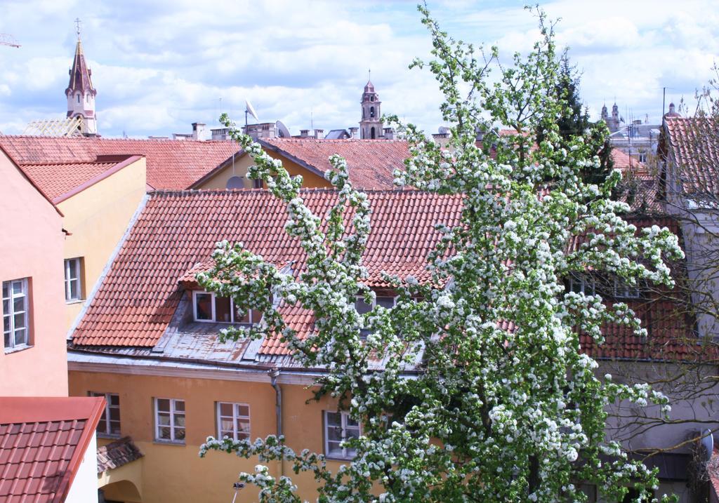 וילנה Old Town Apartment Antokolskio מראה חיצוני תמונה